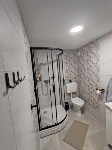 a bathroom with a shower and a toilet at Ella1 in Sremska Kamenica