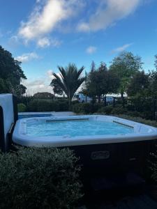 a hot tub in a yard with a palm tree at Waihinau Cottage - One or Two Room Options! in Otaki