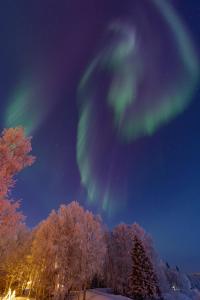 an image of the northern lights in the sky at Riverhouse Lumo in Ivalo