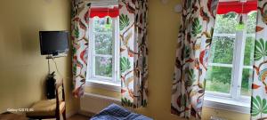 two windows with curtains and a television in a room at Enecopia Bed & Breakfast in Enköping
