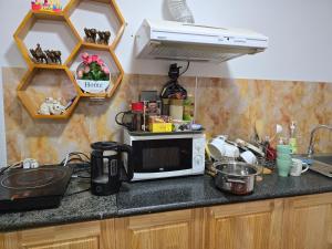 a kitchen counter with a microwave and a sink at Bee Happy Hostel & Gobi amazing tour in Dalandzadgad