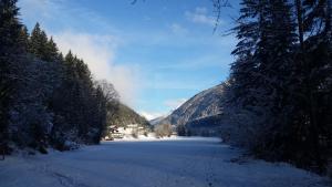 Paesaggio naturale nelle vicinanze dell'appartamento