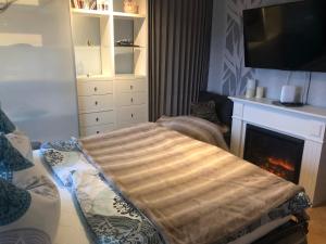 a living room with a fireplace and a large blanket at Ferienwohnung Am Eichenberg in Blankenburg