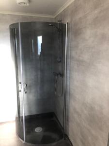 a shower with a glass door in a bathroom at Astrid40 in Bruzaholm +18 photos