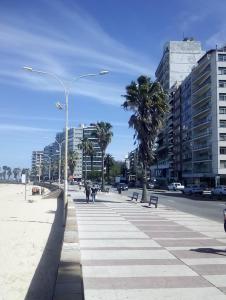 a city street with palm trees and buildings at Stone Wasi in Montevideo