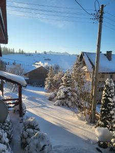 a snow covered yard with trees and a house at Agroturystyka Ela in Rzepiska
