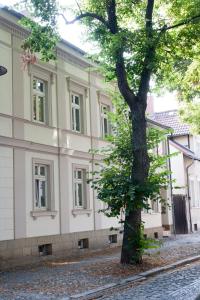 ein Baum vor einem weißen Gebäude in der Unterkunft Wohnen im Denkmal in Quedlinburg