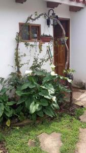 Gallery image of Posada Guasu in Samaipata