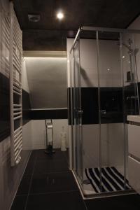 a glass shower in a bathroom with a black floor at Le Monciat in Lessines +17 photos