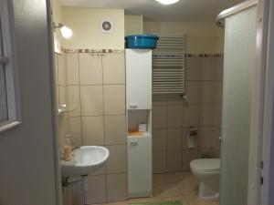 mała łazienka z toaletą i umywalką w obiekcie Dwór Klewiny w mieście Klewiny