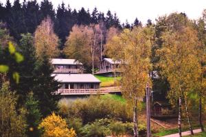 Afbeelding uit fotogalerij van Chalet Le Forestier in Bullange