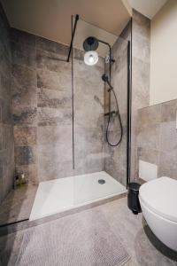 a bathroom with a shower with a toilet and a sink at Studio Arclusaz by ExplorHome in Albertville