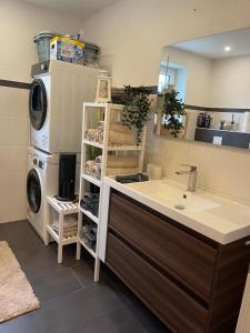 a bathroom with a sink and a washing machine at FeWo Zum Preussensteig Fröhwaldstraße 19 max 5 Gäste in Pfeffelbach