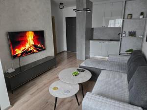 a living room with a fire in the fireplace at Apartman Dioniz Fojnica in Fojnica