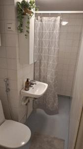 a bathroom with a toilet and a sink and a shower at Centrum Apartment Kokkola in Kokkola