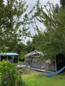 a tent and a hammock in a yard at Glamping Mañihueico in Contao