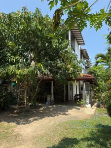 a house with a tree in front of it at River Breeze Villa in Nikawatawana