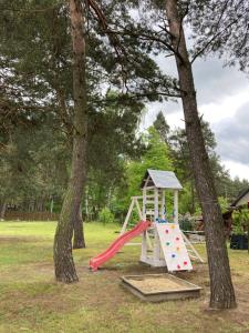 a playground with a slide next to two trees at Agroturystyka u Sylwii in Majdan Sopocki