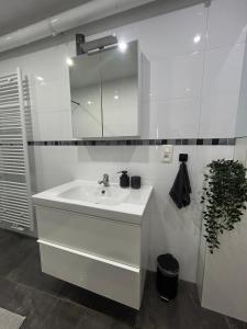 a white bathroom with a sink and a mirror at Appartement cosy à 5 min du centre-ville in Liège +6 photos