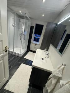 a bathroom with a sink and a shower at Kilimanjaro & Stayover in Svinninge +65 photos