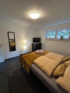 a bedroom with a bed and a tv and two windows at Ferienwohnung im Hasenwieschen in Kaisersesch