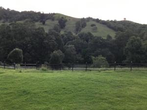 a field with a fence and green hills at Giulia Guests Rooms in Beechmont +1 photo