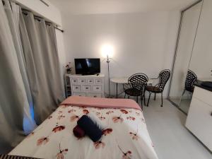 a bedroom with a bed and a table and chairs at Studio idéal cure ou séjour escapade in Balaruc-les-Bains