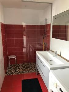 a bathroom with a sink and a shower with red tiles at Lapin in Lesquin