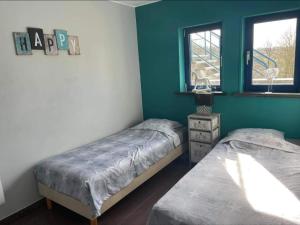 two beds in a room with green walls and two windows at DURBUY Residence-A202- in Durbuy +14 photos