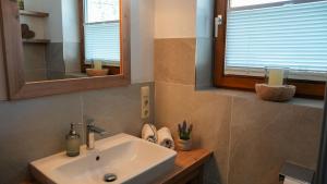 a bathroom with a sink and a mirror at Landhaus Schmitte in Biberwier +11 photos