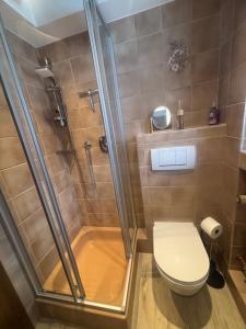 a bathroom with a shower and a toilet at Appartement Wanneck in Biberwier