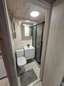 a bathroom with a toilet and a sink and a mirror at TORA nameliai in Aukštadvaris +15 photos