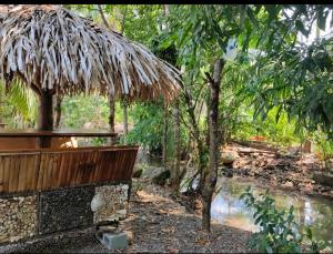 a straw hut with a stream in a forest at Casa Arenas in Manuel Antonio