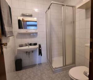 a bathroom with a shower and a sink and a toilet at Stadtblick Bischofsheim in Bischofsheim an der Rhön +16 photos