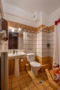 ein Badezimmer mit Toilette und Waschbecken in der Unterkunft Fretzato in Elati, Trikala