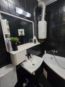 a bathroom with a sink and a toilet and a mirror at Ákos Apartman in Székesfehérvár