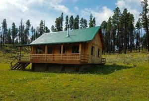 a log cabin with a green roof in a field at Beaver Creek Guest Ranch in Blue +4 photos