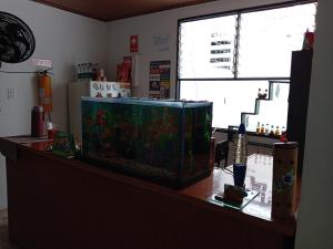 a fish tank sitting on top of a counter at Hospedaje Santa Bárbara in Buga