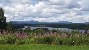 Paesaggio naturale nelle vicinanze dell'affittacamere