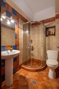 a bathroom with a shower and a toilet and a sink at Mikri Arktos in Elati +31 photos