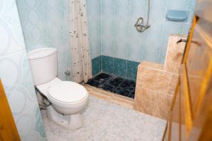 a bathroom with a toilet and a shower at Harmonia House in Al Karnak +28 photos
