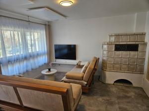 a living room with a couch and a tv at Torwirt Apartments in Herrieden