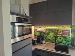 a kitchen with a green wall in the background at Stadtrand Apartment in Markkleeberg