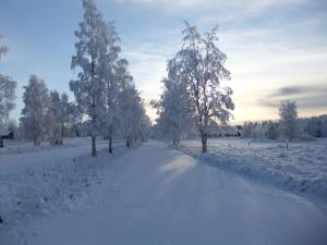 Knappgården durante l'inverno