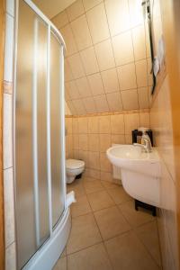 a bathroom with a shower and a sink and a toilet at Willa TOSKA in Murzasichle