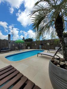 a swimming pool with a palm tree in a yard at Pousada Casa Thede in São Salvador