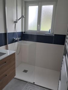 a bathroom with a shower and a sink at l'annexe in Le Givre