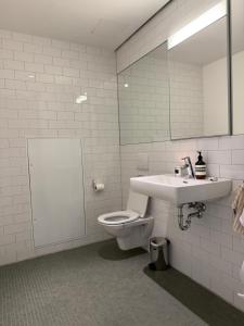 a bathroom with a toilet and a sink and a mirror at Zurich City Appartement in Zurich