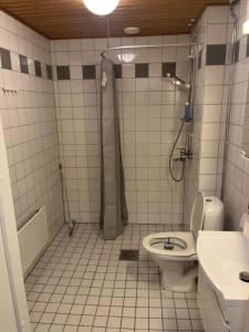 a bathroom with a shower and a toilet and a sink at Air conditioned Apartment in Espoo
