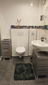 a bathroom with a toilet and a sink at Moni's Ferienwohnung in Hammelburg